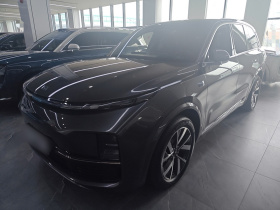 理想汽车 理想L8 2023款 Air