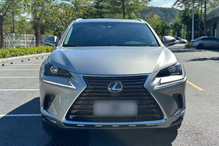 雷克萨斯NX 2018款 300 全驱 锋尚版车身外观6008