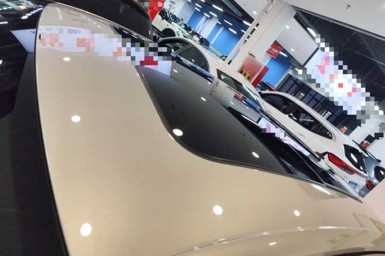 大众 帕萨特 2019款 330TSI 豪华版 国VI局部细节57