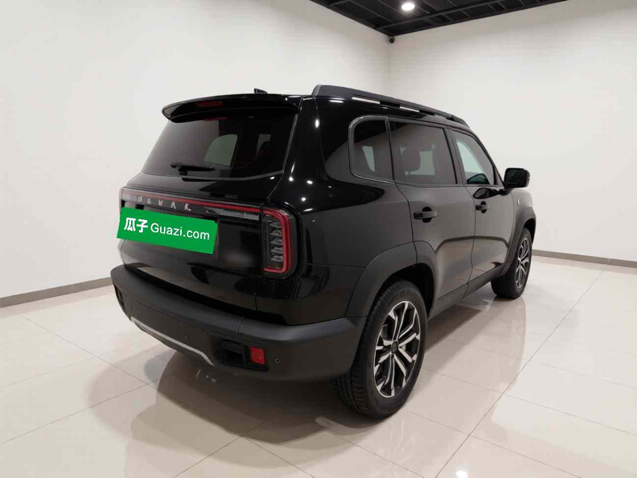 哈弗大狗 2024款 1.5T DCT拉布拉多版(5)