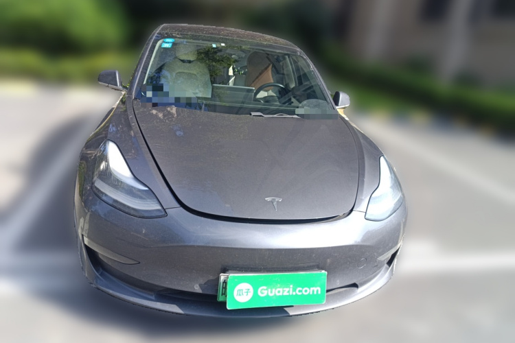 特斯拉 Model 3(进口) 2019款 长续航后驱版车身外观6001