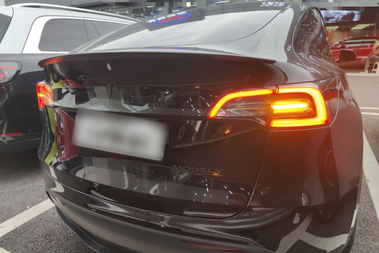 特斯拉 Model Y 2022款 Performance高性能全轮驱动版车身外观6