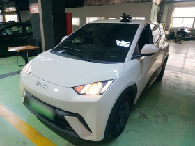 比亚迪 海鸥 2025款 305km 活力版