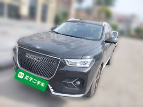 哈弗H6 2021款 1.5T 自动冠军版