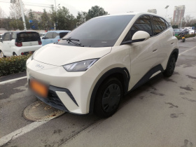 比亚迪 海鸥 2025款 305km 活力版