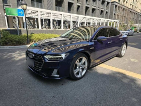 奥迪A7L 2024款 45TFSI quattro S-line 见远型 流晶套装