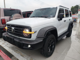 坦克300 2024款 2.0T 征服者