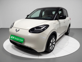 五菱汽车 五菱缤果 2023款 410km 灵犀尊享款