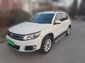 大众 途观 2013款 1.8TSI 自动两驱舒适版