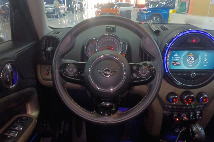 MINI Countryman 2018款 2.0T COOPER S ALL4 艺术家局部细节13