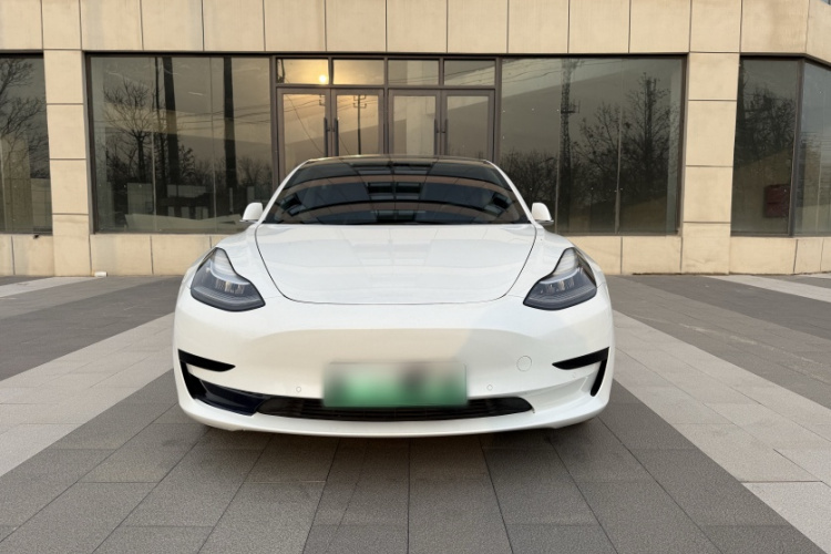 特斯拉 Model 3 2019款 标准续航后驱升级版车身外观6004