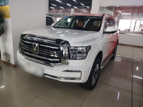 坦克500新能源 2025款 Hi4-Z