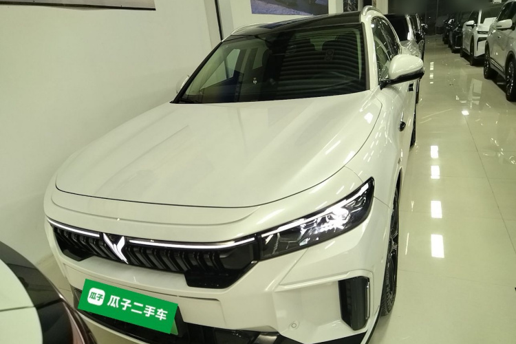 岚图汽车 岚图FREE 2024款 超长续航智驾版车身外观2