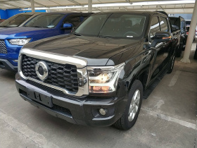 长城 金刚炮 2022款 2.0T手动柴油四驱精英型长箱GW4D20M