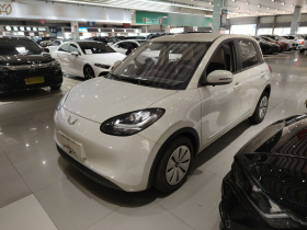 五菱汽车 五菱缤果 2023款 203km 轻享款