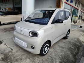 五菱汽车 宏光MINIEV 2024款 第三代 215km 青春版