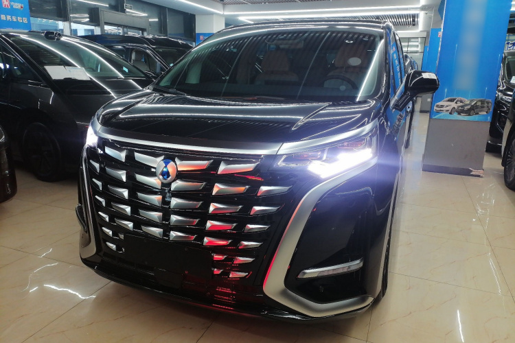 腾势D9 2024款 DM-i 1050 尊享型车身外观2