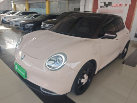 欧拉好猫 2022款 500km长续航 豪华型 三元锂