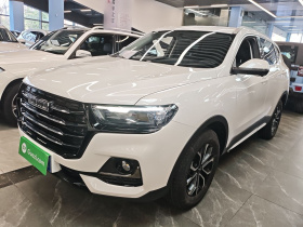 哈弗H6 2025款 1.5T 国潮都市版