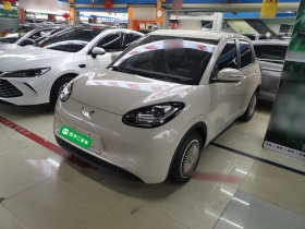 五菱汽车 五菱缤果 2023款 203km 轻享款