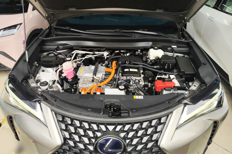 雷克萨斯UX新能源 2020款 300e 纯·悦版局部细节24