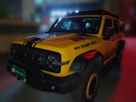 坦克300 2022款 2.0T 边境限定版