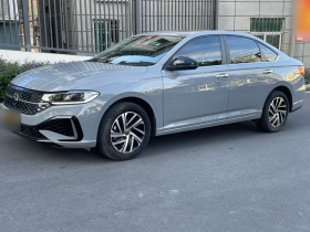 大众 朗逸 2023款 300TSI DSG星空满逸版