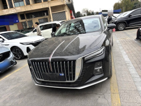 红旗H5 2025款 1.5T DCT旗韵版