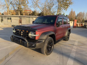 坦克300 2021款 越野版 2.0T 征服者