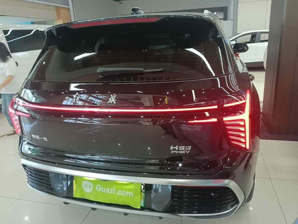 红旗HS3 PHEV 2024款 115km 劲为版(4)