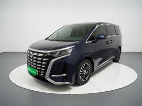 腾势D9 2022款 DM-i 1040 尊贵型