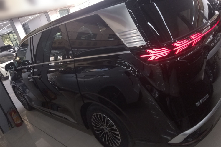 腾势D9 2023款 DM-i 945 公务版车身外观4