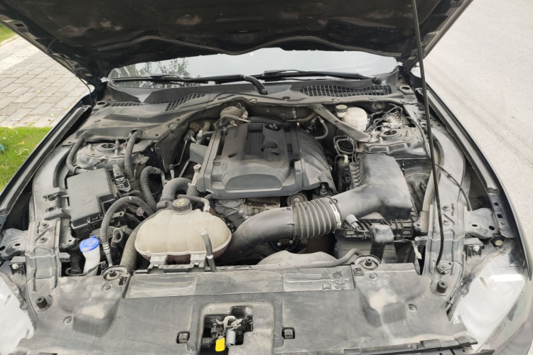 福特 Mustang 2019款 2.3L EcoBoost局部细节24