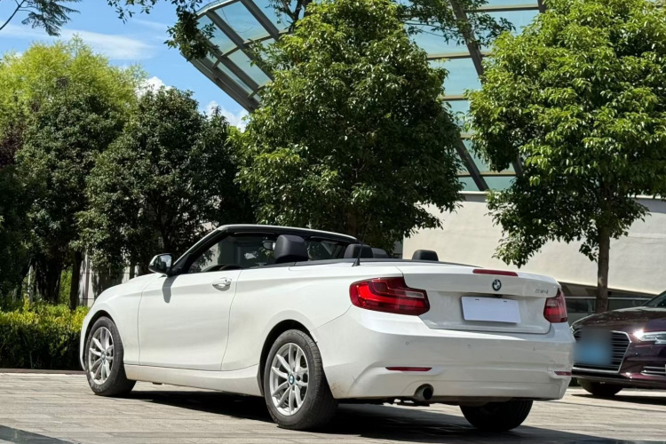 宝马2系(进口) 2015款 218i 敞篷轿跑车车身外观6006