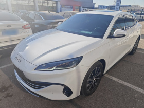 比亚迪 海豹06新能源 2024款 DM-i 120KM尊荣型