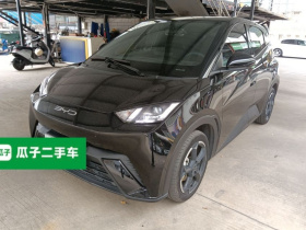 比亚迪 海鸥 2023款 自由版