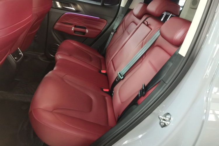 坦克300 2025款 2.0T 征服者中控内饰7004