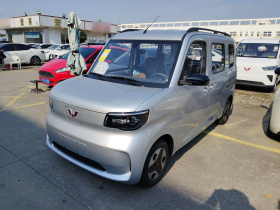 五菱汽车 五菱之光新能源 2025款 305km 进取型