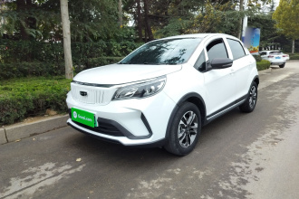 吉利几何 EX3 功夫牛 2021款 坚强牛牛