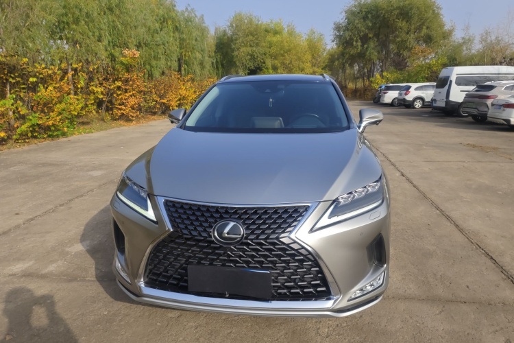 雷克萨斯RX 2020款 改款 300 四驱典雅版车身外观6001