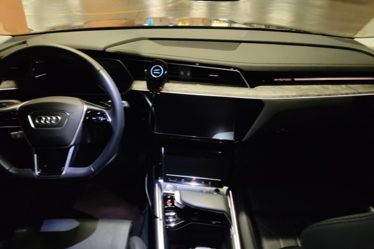 奥迪e-tron(进口) 2019款 55 quattro 技术型中控内饰12