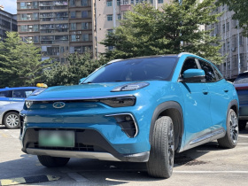 奇瑞新能源 大蚂蚁 2020款 高能pro版