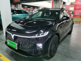 岚图汽车 岚图知音 2024款 四驱全球版