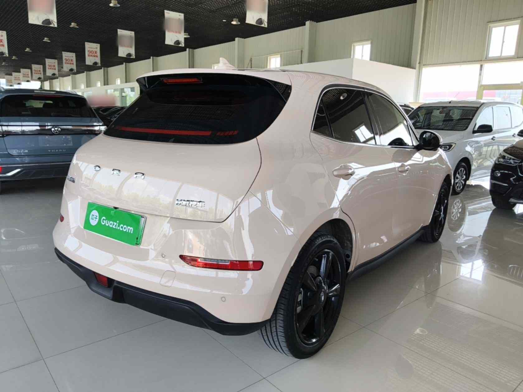 欧拉好猫 2024款 401km 豪华型(5)