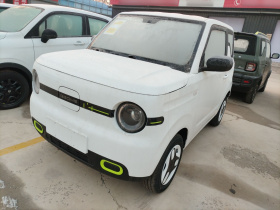 吉利银河 熊猫 2025款 210km 元气熊