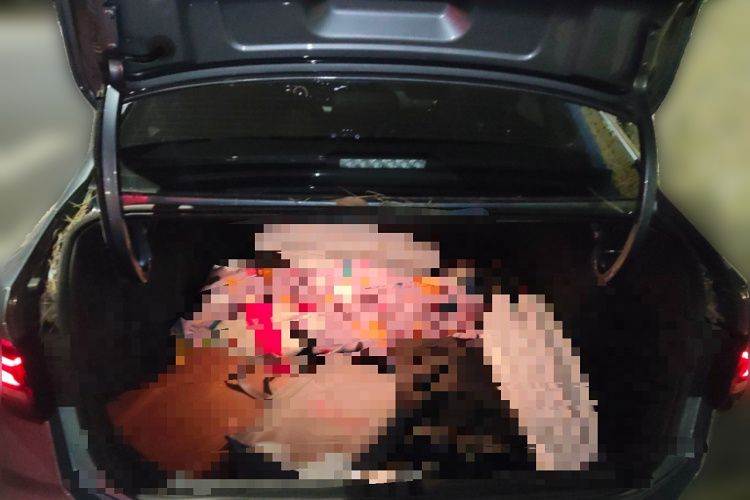 大众 朗逸 2023款 1.5L 自动五百万版中控内饰23