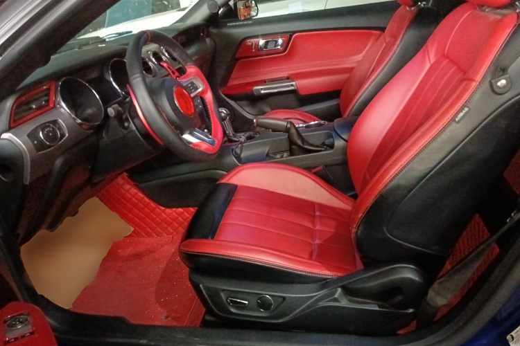 福特Mustang（平行进口） 局部细节19