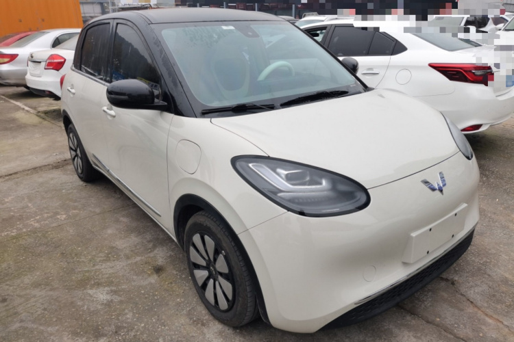 五菱汽车 五菱缤果 2023款 333km 悦享+款车身外观3