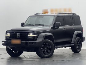 坦克300 2021款 越野版 2.0T 征服者