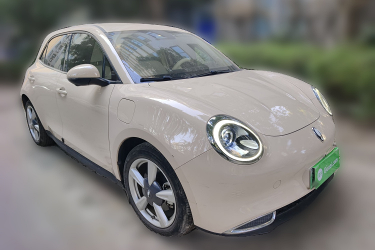 欧拉好猫 2022款 400km标准续航 豪华型 磷酸铁锂车身外观6002